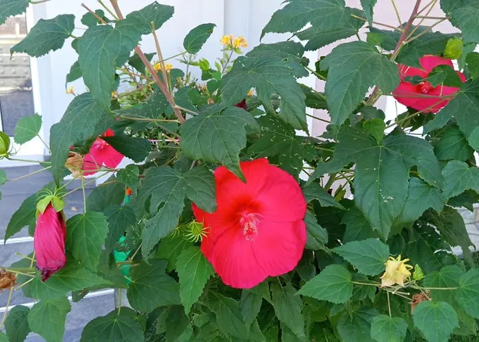 Rocky Scenery Kalambaka