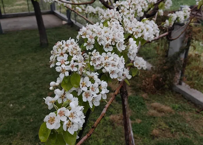 Rocky Scenery Apartman